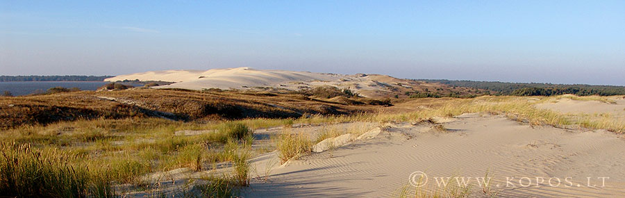 Sightseeing excursions in the dunes on foot or bicycles