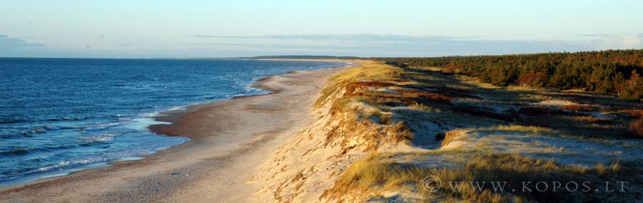 Apsauginė smėlio kopa Baltijos pajūryje