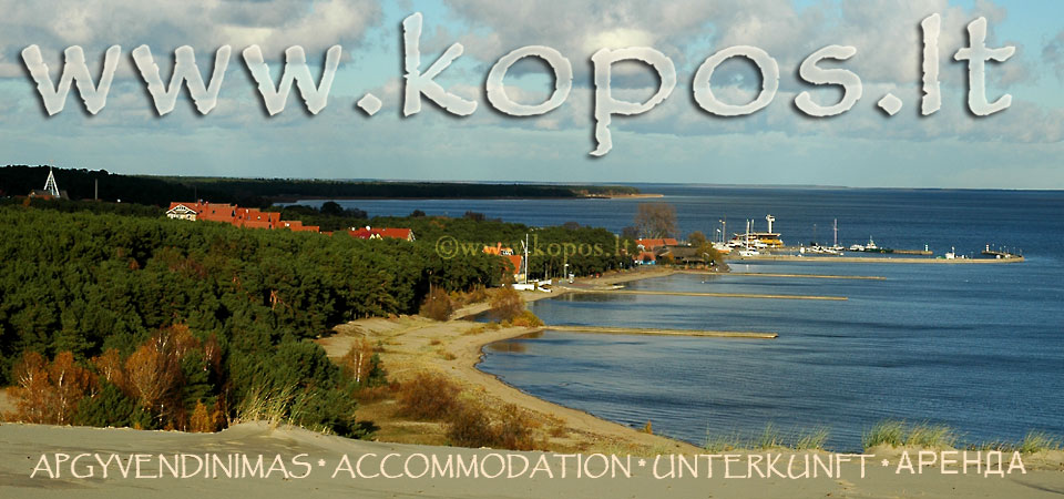 365 dienos Kur�i� nerijoje - pasigro��kime sustabdytomis akimirkomis nuotraukose ir panoramose, unikalaus gamtos kampelio �kv�pt� meninink� darbais