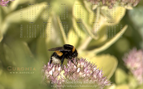 Kopų kalendoriai - Smėlynų žiedai 2012