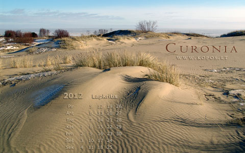 Kopų kalendoriai - Klajojančios kopos - lapkritis