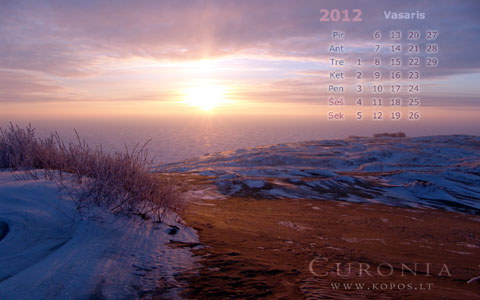 Kopų kalendoriai - Saulės ratas - vasaris